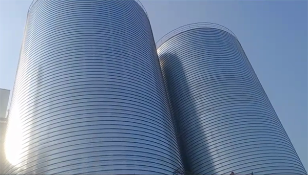 元阳2座混凝土高架卷板仓